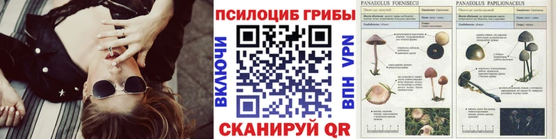 Псилоцибиновые грибы Psilocybine cubensis Катав-Ивановск