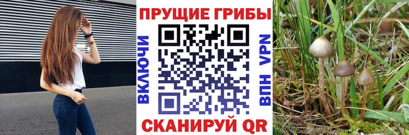 Галлюциногенные грибы прущие грибы  наркотики  это наркотические препараты  Катав-Ивановск 